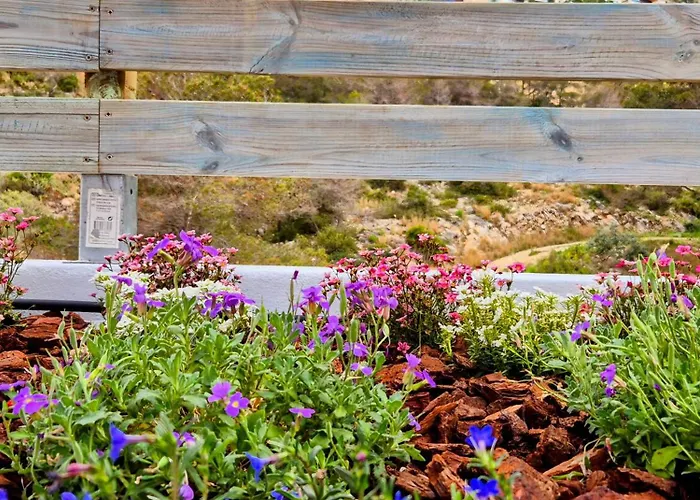 Sitges, Big House With Pool Сasa de vacaciones Sitges