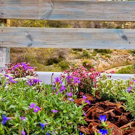 Sitges, Big House With Pool Holiday home Sitges