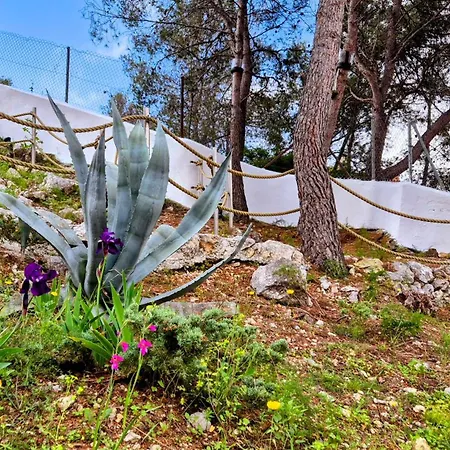 Sitges, Big House With Pool Tatil Evi